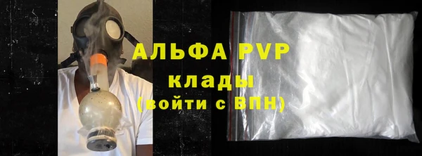 ПСИЛОЦИБИНОВЫЕ ГРИБЫ Верея