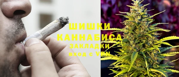 эйфоретик Богданович