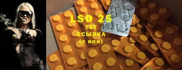 эйфоретик Богданович